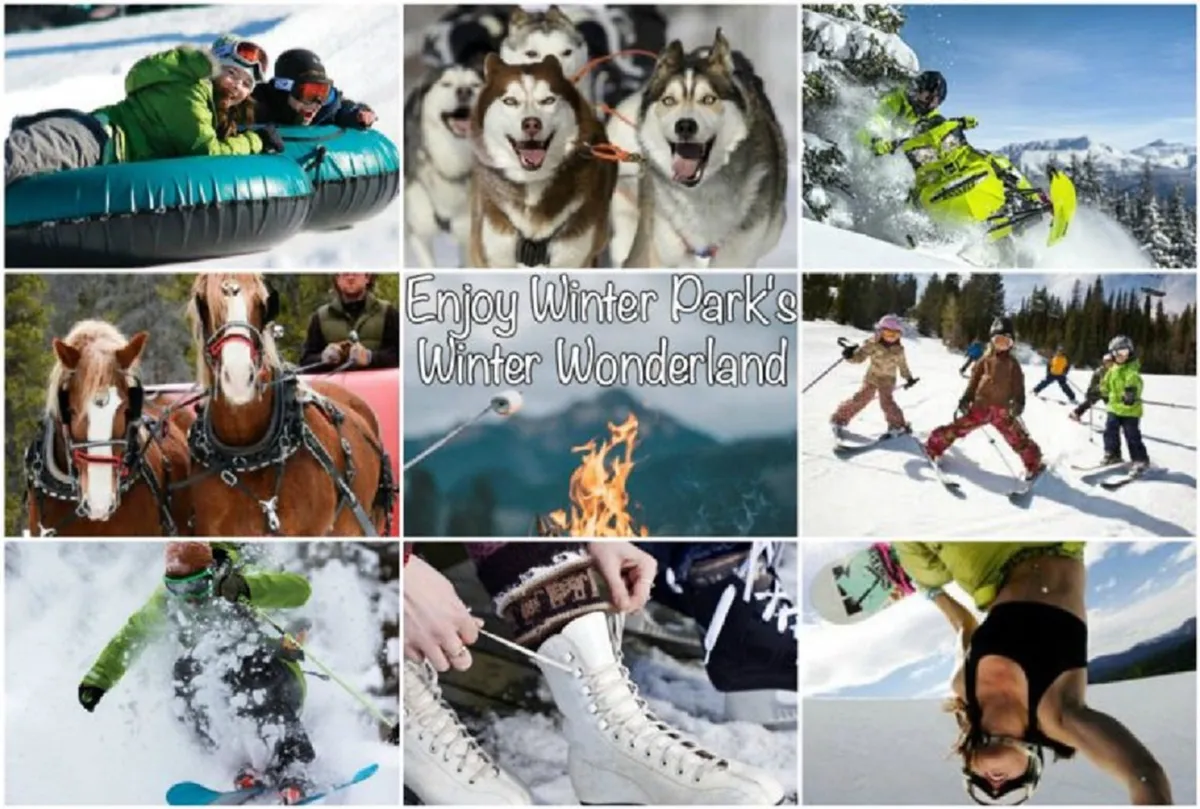 A dynamic collage of winter activities: people tubing down snowy slopes, huskies ready for dog sledding, snowmobiles, children skiing, a cozy fire, snowboarding, horses in harness, and ice skates. The image radiates playful energy and variety.